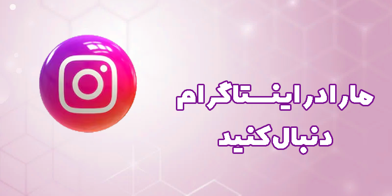 پیشتاز پخش (محمدی)